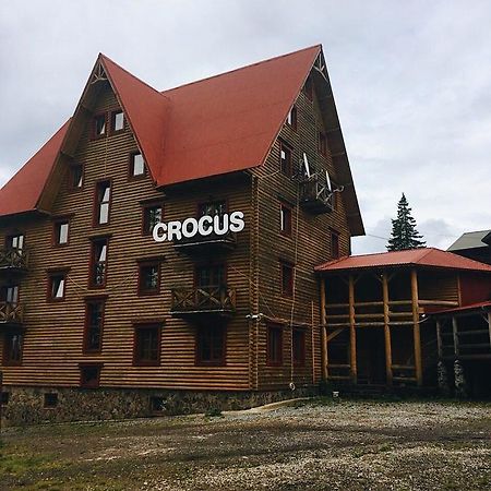Crocus Hotell Drahobrat Eksteriør bilde